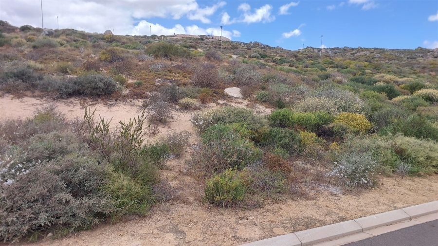 0 Bedroom Property for Sale in Steenbergs Cove Western Cape